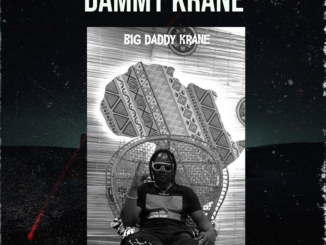 Dammy Krane – Big Daddy Krane [Album]